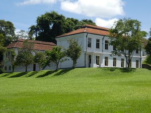 Kandy Royal Gardens (194)