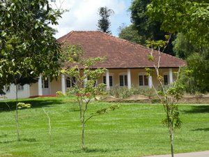 Kandy Royal Gardens (217)