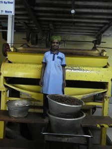 Nuwara Eliya tea plantations (8)