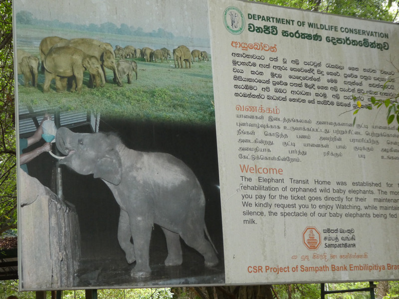 Elephant Transit Home in Udawalawe National Park (2)