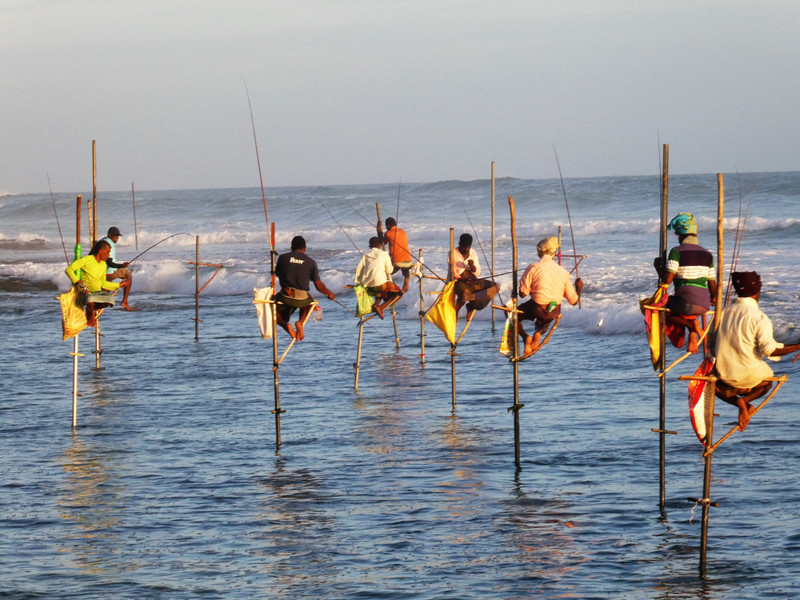 Koggala Stick Fishermen (7)