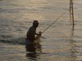 Koggala Stick Fishermen (28)