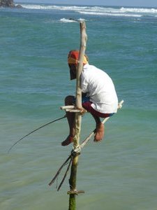 Stilt Fisherman at Koggala (8)