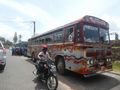 Buses in Galle (1)