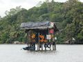 Maduganga River Cruise near  Ahungalia (30)