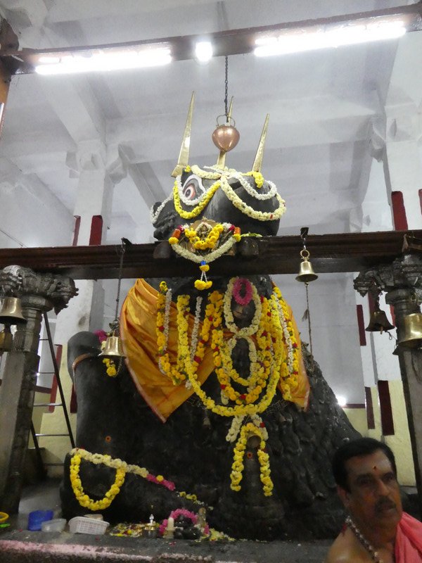 Sri Big Bull Temple Bangalore (22)