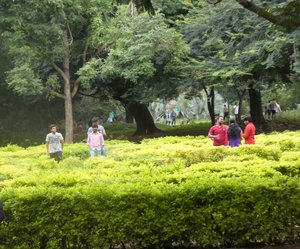 Bangalore Botanical Gardens (28)