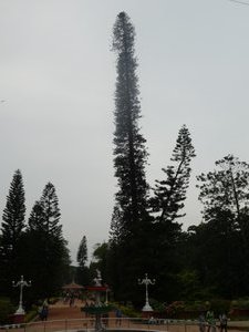 Bangalore Botanical Gardens (40)