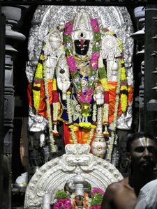 Halebid - Hoysaleswara Temple (36)
