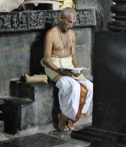 Halebid - Hoysaleswara Temple (50)