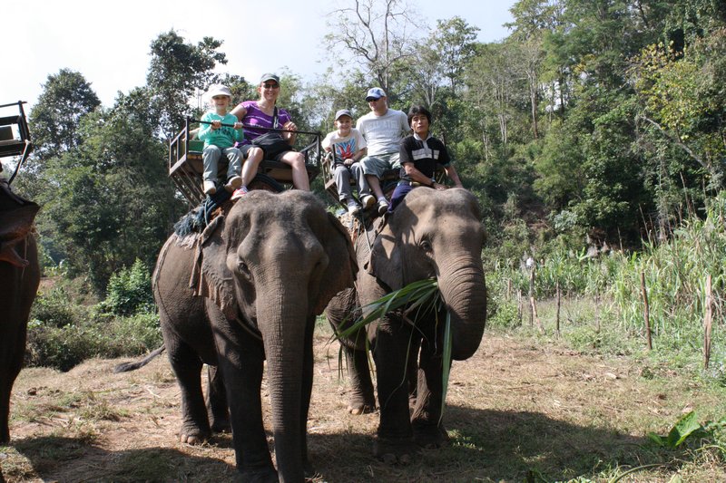 The Waters Family on Elephant Safari
