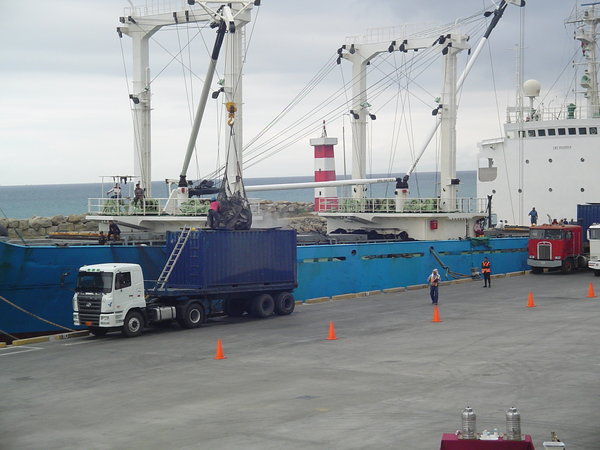 Tuna Freighter being unloaded