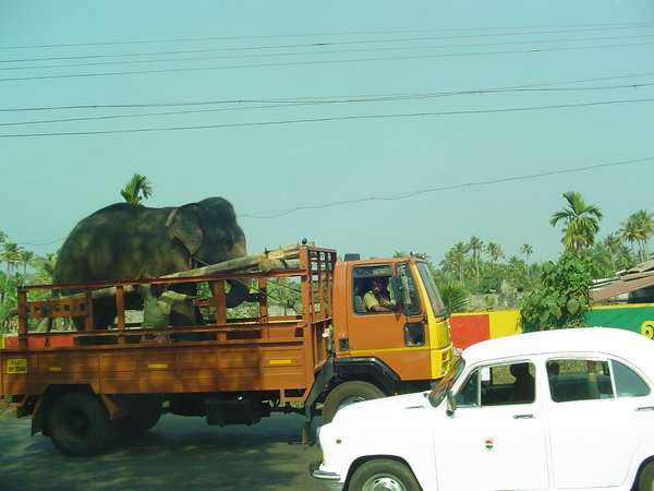 Cochin, India 097