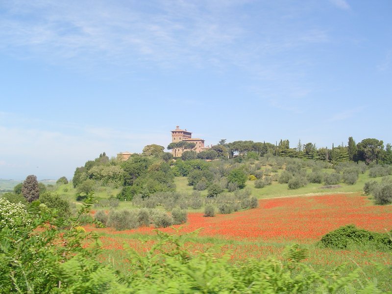 Maremma Region of Tuscany 048