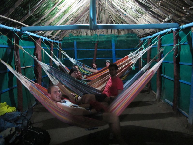 6 amigos in hammocks