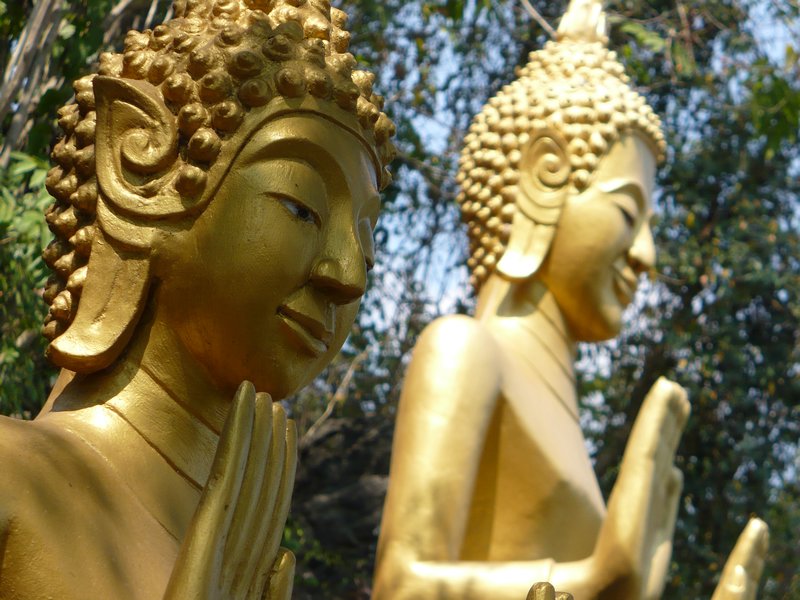 Buddah's at a temple - a peaceful walk