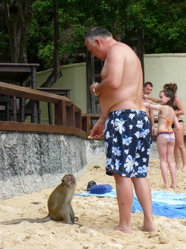 Monkey steals fat Russian's pasty 