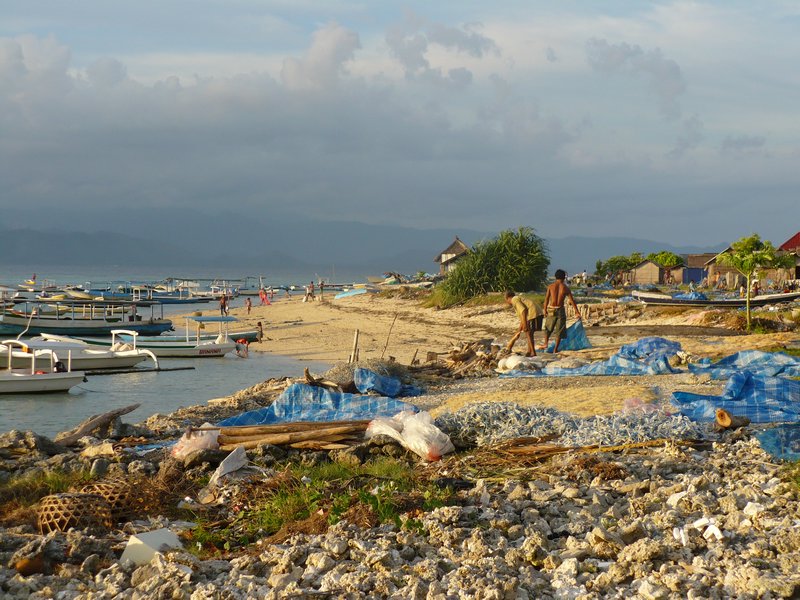 Seaweed farming - a big part of the local life on Lembongan Island 