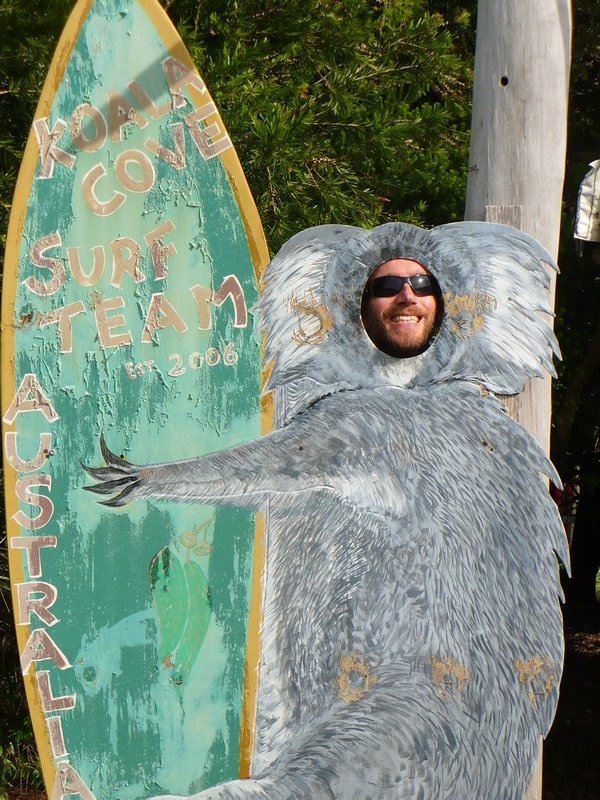 Some sort of strange Koala trying to surf again...