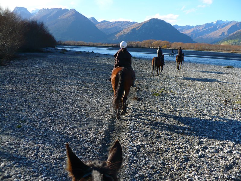 Horse Trek in Glenorchy - pre river crossing and potential flattening by horse