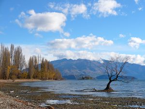 The beautiful Wanaka - the start of an epic 5 hour walk - and we hitch hiked back with the Salvo's!