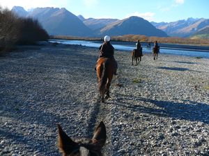 Horse Trek in Glenorchy - pre river crossing and potential flattening by horse