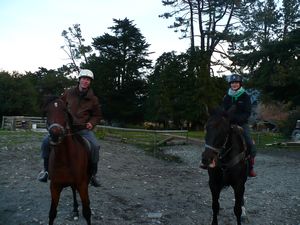 Warty and Sparky, our horses for the day