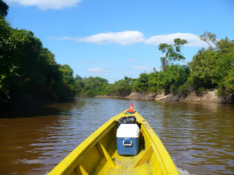 Boating aloing the Rio Beni in the Amazon