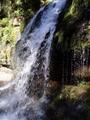 Flowing water at Liffey Falls