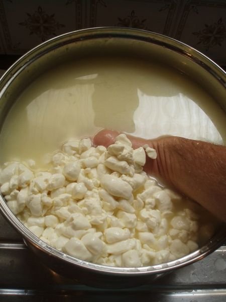 Scalding the curds