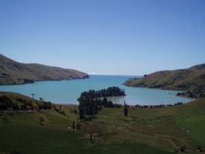 One of the Banks Peninsula's many mays