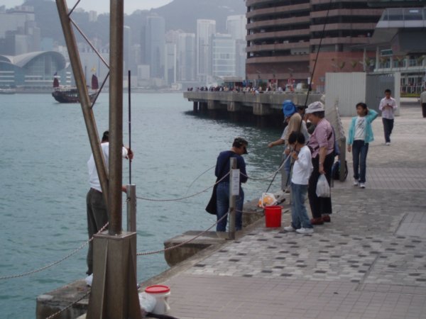 Fishing in Victoria Harbour