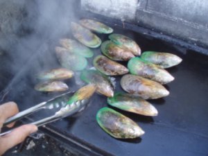 Green-lipped mussels