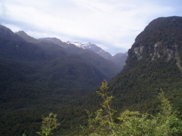 Fiordland wilderness