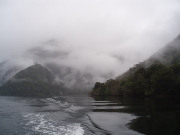 Spooky morning in Doubtful Sound