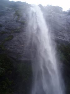 Waterfalls, Milford Sound