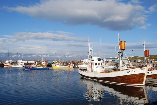 Harbour, Husavik