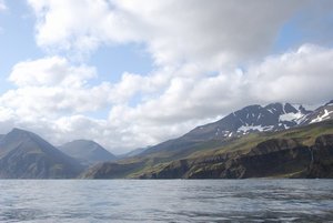 Boat trip around Skjalfandi from Husavik