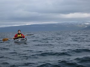 Kayaking on Mjoifjordur