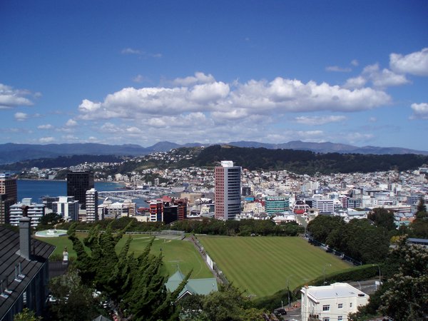 Wellington from the funicular