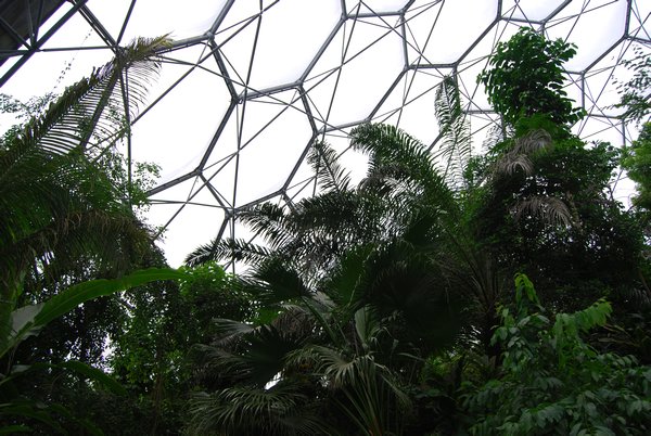 Tropical Biome, Eden Project