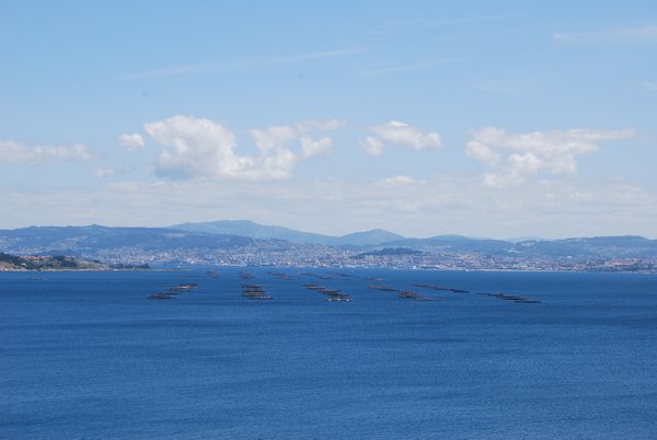 Looking over the Ria de Vigo to Galicia's largest city and a major port.