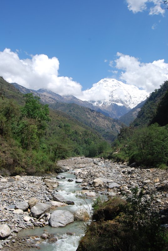 Annapurna South towering over the Modi Khola valley