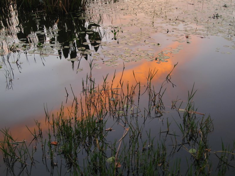 Orange clouds reflected in the lagoon