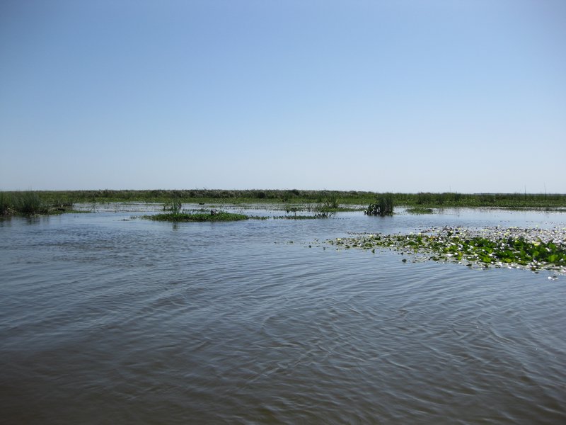 Laguna de Iberá