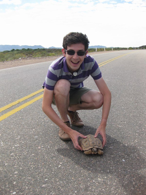 Rescuing a tortoise from a dangerous place!!