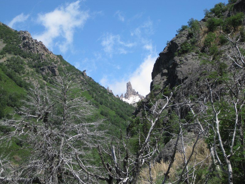 Glimpse of craggy peaks, trail to Refugio Frey
