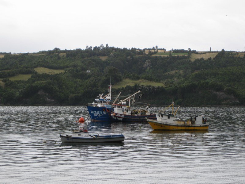 Harbour in Dalcahue with Isla Quinchao in the background