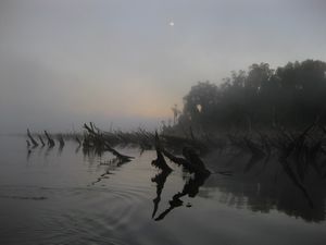 Dawn kayak in Chepu