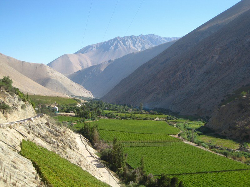 Elqui Valley - a splash of green on the landscape